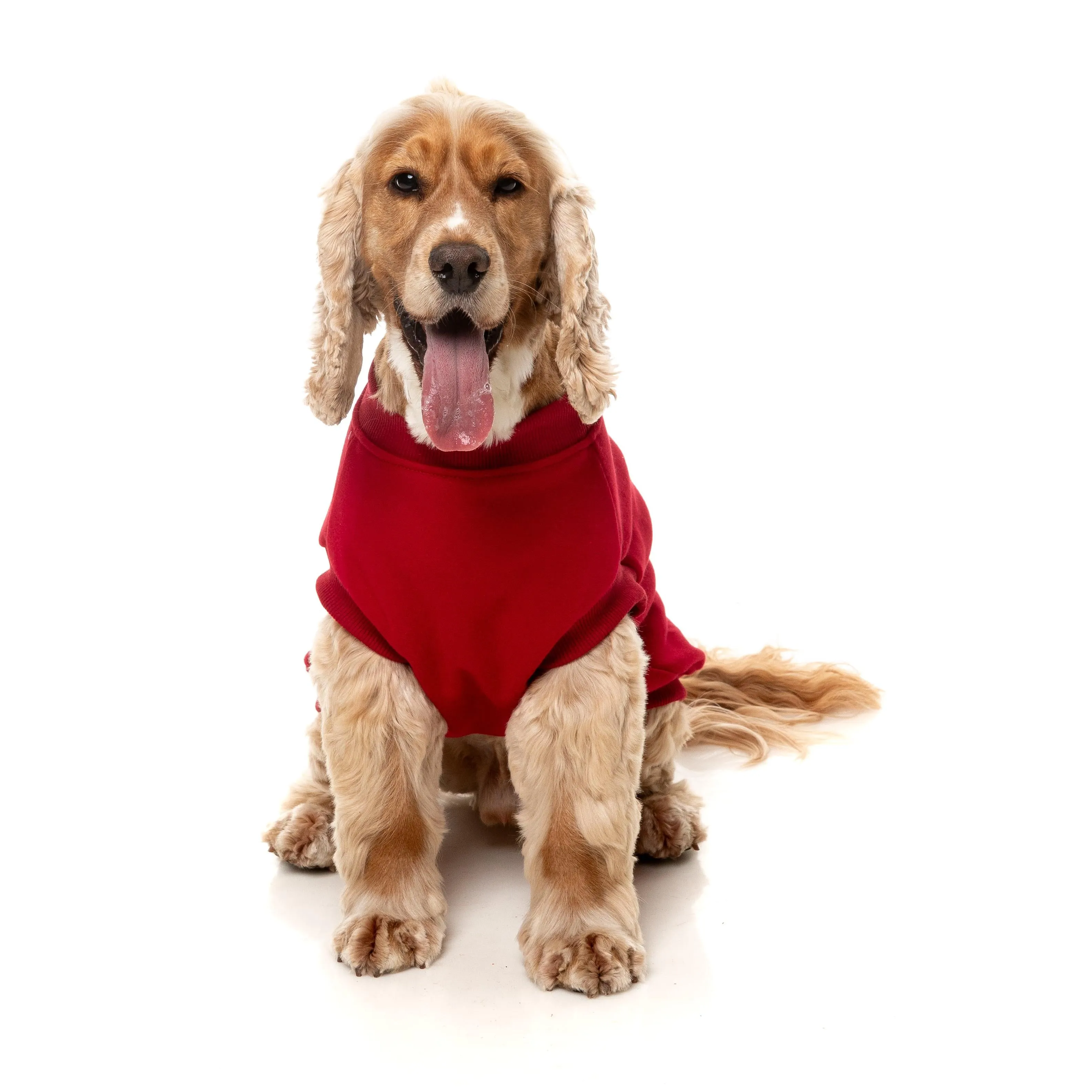 FuzzYard Dog Apparel Allday 25 Sweater Red Size 2 ^ ^