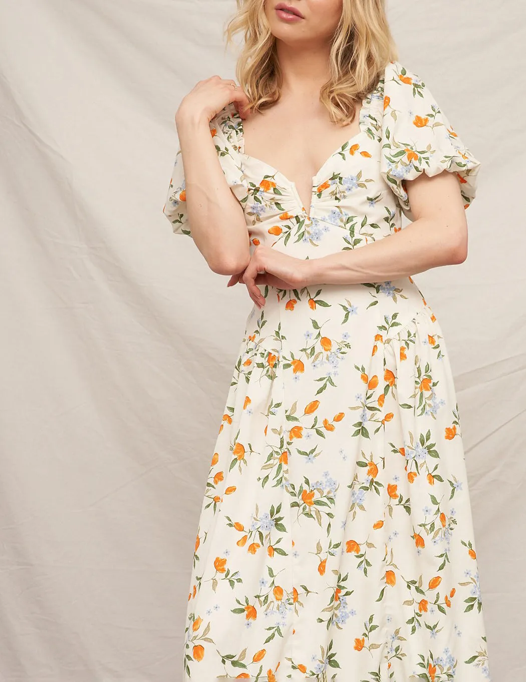 Joanna Ivory Floral Midi Dress